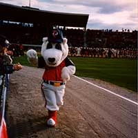 Thumbnail of McCoy_Stadium